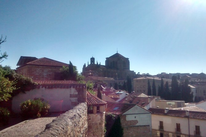 The Best of Salamanca (English) - Exploring Salamanca’s Historic Center with a Local Guide