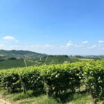 The Best of the Langhe: Wine Tasting & Traditional Meal - Tasting Three Distinctive Wines from Podere Gagliassi