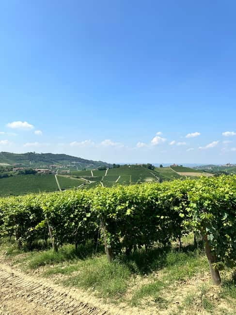 The Best of the Langhe: Wine Tasting & Traditional Meal - Tasting Three Distinctive Wines from Podere Gagliassi