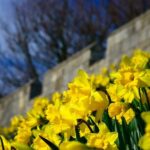 The Best of York on Foot in a Small Group - The Guides and Their Enthusiasm