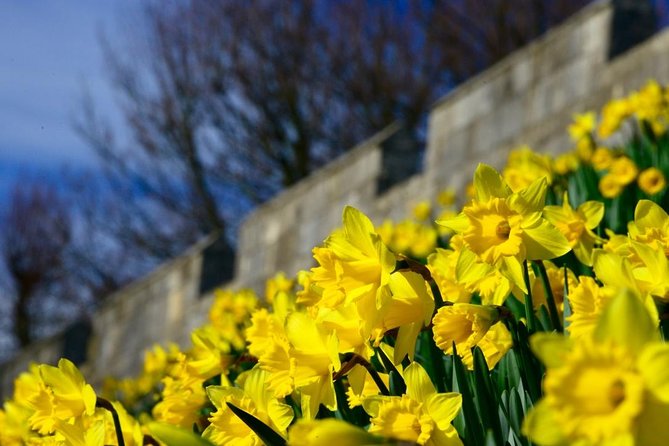 The Best of York on Foot in a Small Group - The Guides and Their Enthusiasm