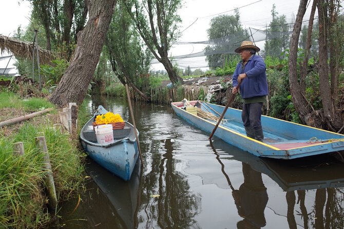 The City Green Exploring the Urban Eco Reserve of Xochimilco - Visiting the Vibrant Xochimilco Market for Traditional Food