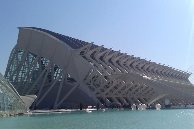 The City of Arts and Sciences in Valencia - Meeting Point and Tour Logistics