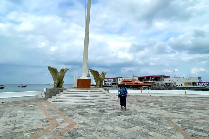 The Cozumel Turtle Sanctuary Snorkel Tour - What Makes This Snorkeling Tour Stand Out?