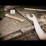 The Dark Side of Bremen: Killers and Criminals - Exploring Bremen’s Dark Side: An Introduction