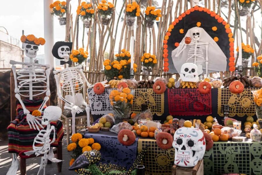 The Day of the Dead Private Tour in Mexico City - Starting the Adventure in Mexico City