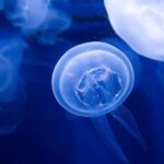 The Florida Aquarium Ticket - What You Get with Your Ticket: All Exhibits and Interactive Zones