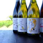 The Fontefico Style: a guided tour of the winery and a tasting lunch - Exploring the Winery and Vineyards in Abruzzo