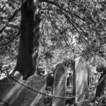 The Ghosts of Salem Walking Tour - The Experience at Each Stop