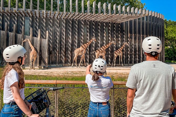 The Grand Bike Tour of Lyon - 3h - Starting Point in Vieux-Lyon with Convenient Amenities