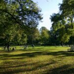 The Hague: Mystery Figures Walking Tour - The 10-Stop Itinerary: From Paleistuin to Chinatown