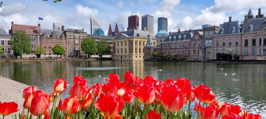 The Hague Private City Tour with an Architect (RU) - Exploring the Binnenhof and Its Historic Significance