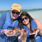 The Island Tour - Wildlife and Marine Life Encounters on the Water