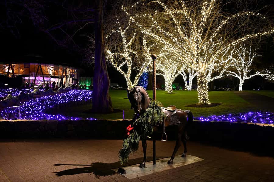 The Magic of Christmas at the Butchart Gardens - Convenient Pickup and Transportation from Downtown Victoria