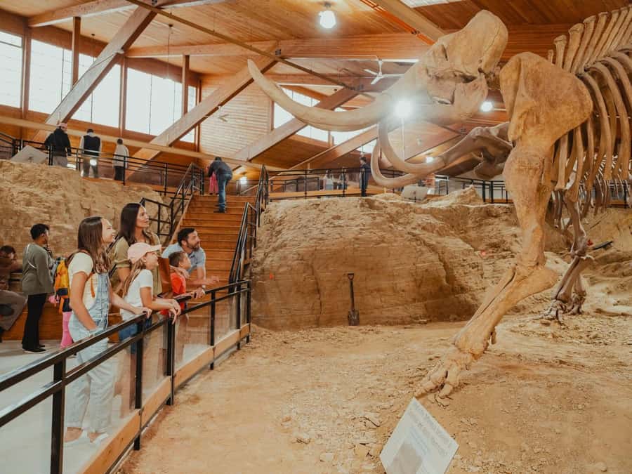 The Mammoth Site of Hot Springs General Admission Ticket - Start with a Brief Introduction in the Cirincione Learning Center