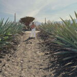The Mezcal Journey - Exploring Santiago Matatlán, "The Worlds Mezcal Capital"