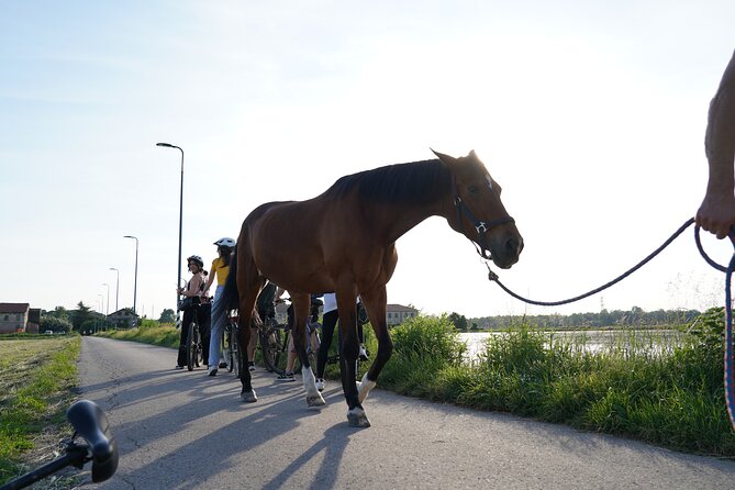 The Milan you don't expect, bike tour with picnic on the lake - Discovering Parco delle Cave and Its Artificial Basins