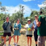 The Olive Oil Experience @ Lefkada Micro Farm - Insight into the Olive Grove and Farm Setting