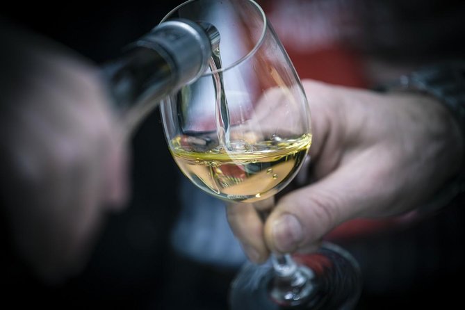 The Original Syrah Wine Tour (9:00 am - 1:30 pm) - Small Group Tours from Lyon - Meeting Point and Tour Logistics in Lyon