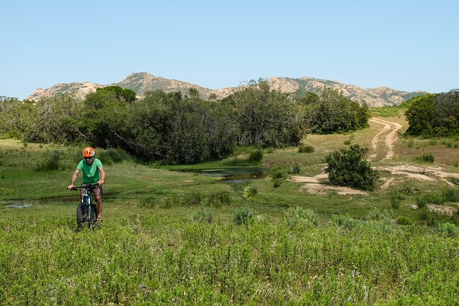 The ring of Mountain Tuttavista with Electric Mountain Bikes - The Climb to Monte Tuttavista’s Prominent Vantage Point