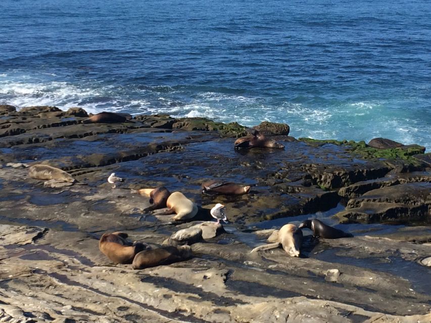 The San Diego Highlights Tour - Starting at the Downtown Meeting Point in San Diego