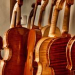 The Secret of Stradivari in Cremona: visit the Violinmaker School - Visiting the Academia Cremonensis in the Palazzo Mina Bolzesi