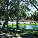 The Shared Temecula Wine Tour from Anaheim - Guided Tour at Somerset Vineyard and Winery