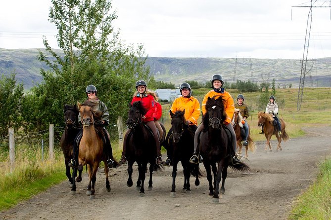 The Siggi Tour from Reykjavík: 1.5 to 2-Hour Ride - Explore South Iceland on a 2-Hour Icelandic Horseback Ride from Reykjavík