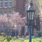 The Sweet Spots of Covent Garden - Iconic Landmarks and Scenic Views