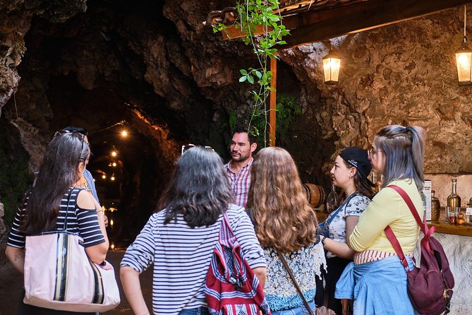 The Tequila Root - Visiting Mexico’s Iconic Agave Fields