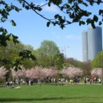 The tour of Riga - one step outside the Old Town - Scenic Drive Through Kipsala Island