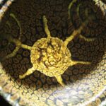 The Ultimate Private Plovdiv Urban Wine & Cultural Tour - The Tour Starts at the Ancient Stadium of Philippopolis