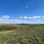 The Urban Wild Calgary Nature Loop Private Tour - Crescent Heights Lookout: Calgary’s City and Mountain Vistas