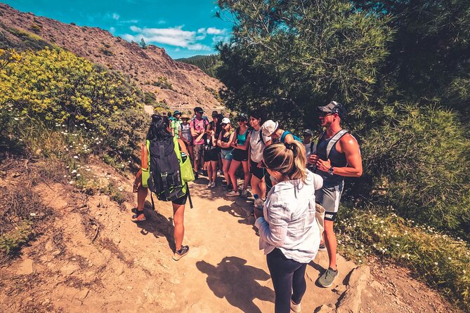 The Volcano Heart Tour: Hiking, Tasting and Sunset Experience - Cultural and Culinary Highlights at Cruz de Tejeda
