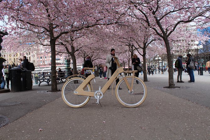 The Wooden Bicycle Tour in Stockholm - The Experience’s Strengths and Limitations
