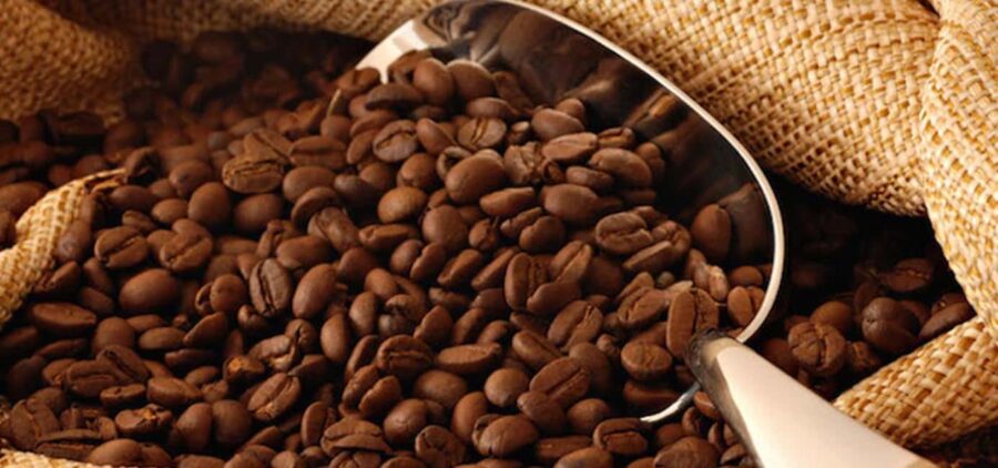 The World of Latte Art: Coffee from the Chiapas Creamy Heart - Cultural Insights into Chiapas’ Coffee Heritage