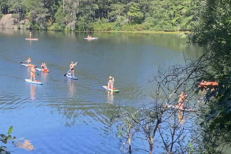 Thetis Lake: Paddle Board Tour with Gear Included - Starting Point at Thetis Lake Regional Park Main Entrance