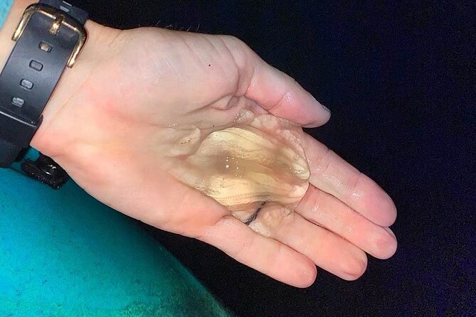 Thousand Islands Bioluminescent Kayak Tour with Cocoa Kayaking! - Specifics of the Cocoa Beach Location and Meeting Point