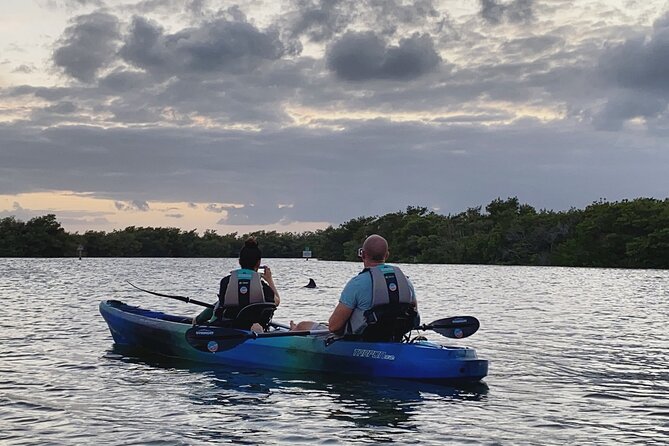 Thousand Islands Mangrove Tunnel & Bio Comb Jelly Sunset Tour - Exploring the Stunning Mangrove Tunnels
