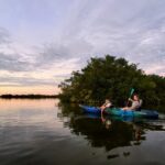 Thousand Islands Mangrove Tunnel Sunset Kayak Tour with Cocoa Kayaking! - Wildlife Sightings and Marine Life