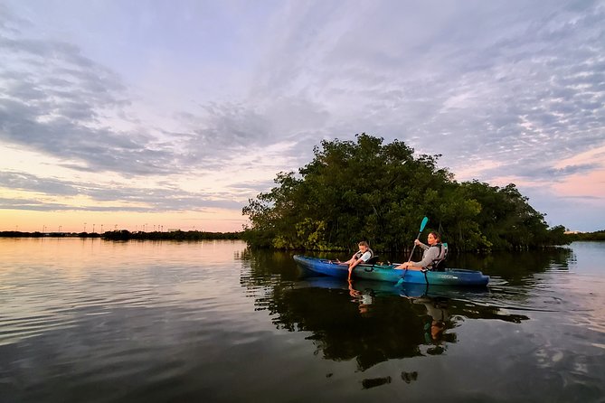 Thousand Islands Mangrove Tunnel Sunset Kayak Tour with Cocoa Kayaking! - Wildlife Sightings and Marine Life