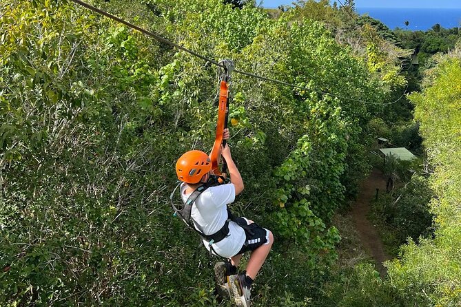Thrills in Nature: ATV, Zipline & Paintball Near Mexico City - Logistics: Pickup, Transportation, and Flexibility