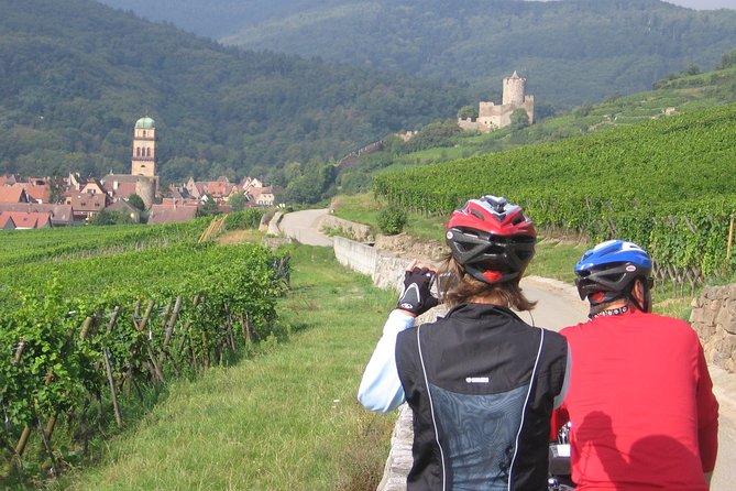 Through Alsace Vineyards and Wine Villages Private Bike Tour - Cycling Through Alsace’s Iconic Villages