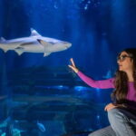 Ticket to SEA LIFE Konstanz - Exploring SEA LIFE’s Reopened Aquarium and "The Sea at Night" Area