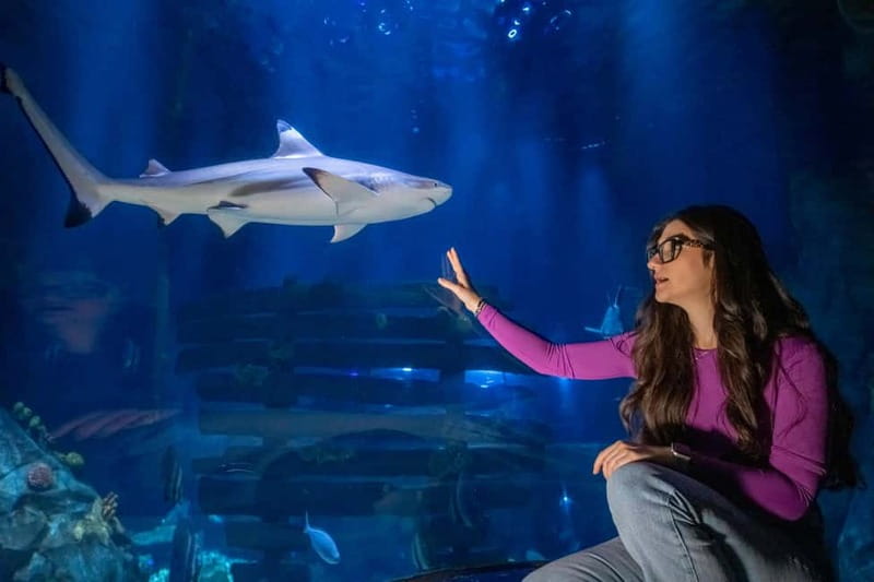 Ticket to SEA LIFE Konstanz - Exploring SEA LIFE’s Reopened Aquarium and "The Sea at Night" Area