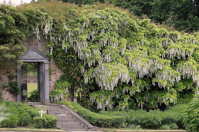 Tickets to Explore Ireland's Global Garden - The Experience at Mount Congreve Gardens