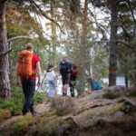 Tiveden National park: Summer guided walk around Stenkälla - How the Guided Walk Highlights Ice Age Remains