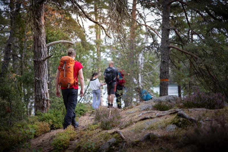 Tiveden National park: Summer guided walk around Stenkälla - How the Guided Walk Highlights Ice Age Remains