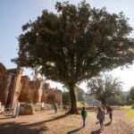 Tivoli: Entrance Ticket to Villa Adriana & App Audioguide - Exploring Villa Adriana’s Historic Landscape