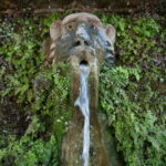 Tivoli: Villa d'Este Guided Tour - Starting Point at Via della Inversata, 27 in Tivoli